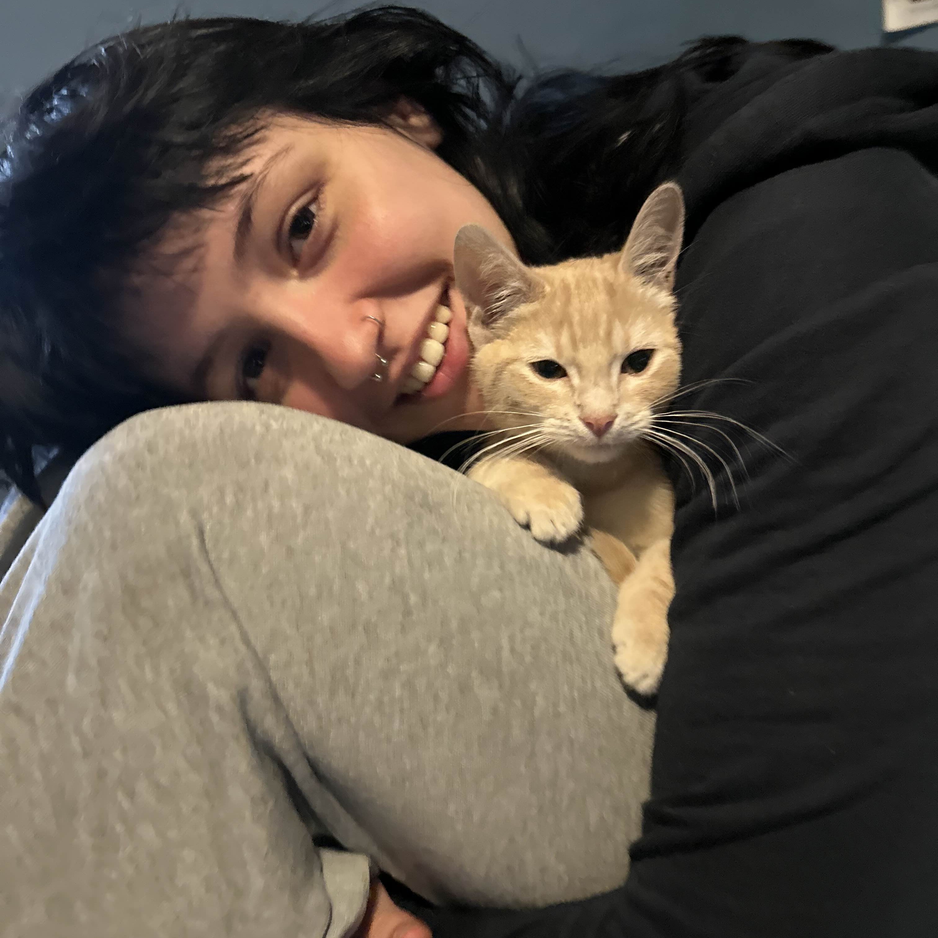Cat 10