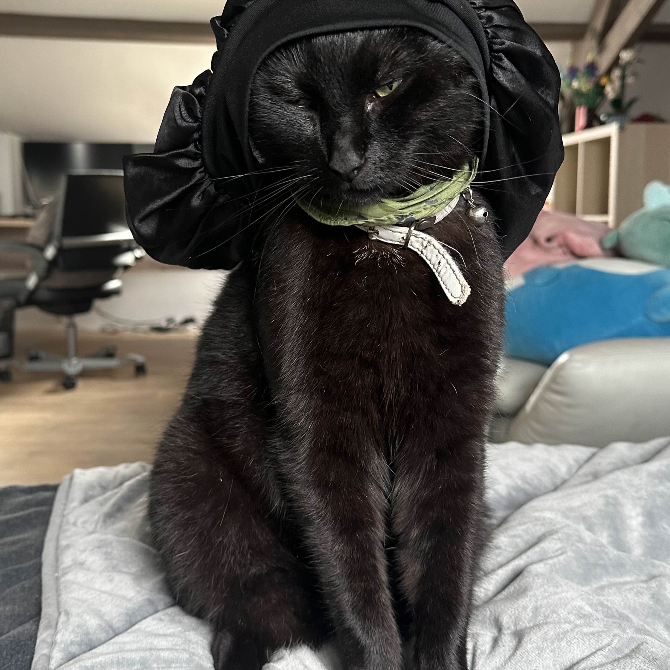 Cat 4